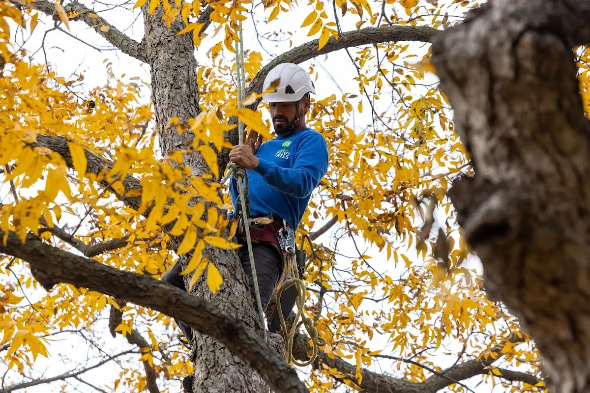 Skilled Storm Damage Cleanup crew working in Panhandle