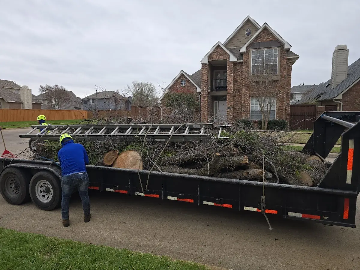 Expert Tree Pest Control with proper safety equipment in Panhandle